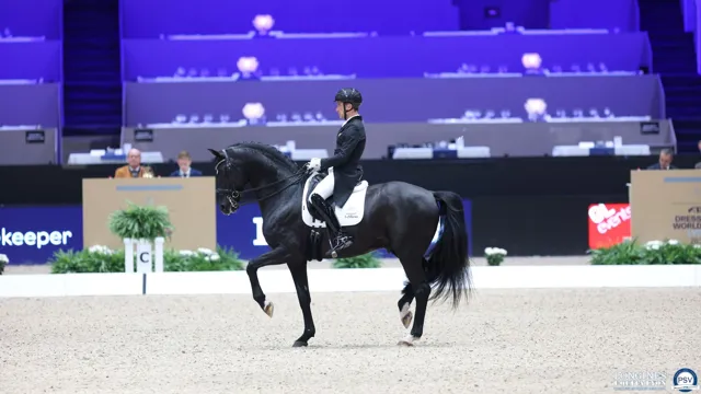 Lyon ziet Belgische dressuurmacht met drie combinaties in de voorhoede