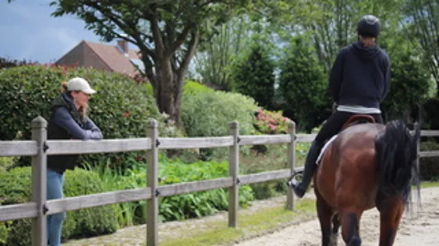 Bij sportpaarden kunnen onopvallende, subklinische ademhalingsproblemen de prestaties beïnvloeden, waardoor een nauwkeurige diagnose essentieel is.