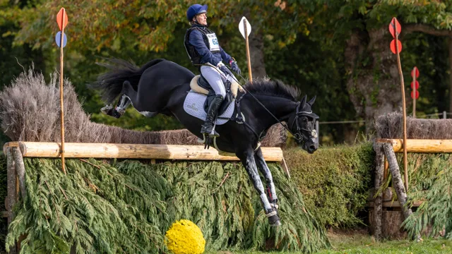 Lara de Liedekerke droomt van tweede wereldtitel op rij met Tara van het Leliehof