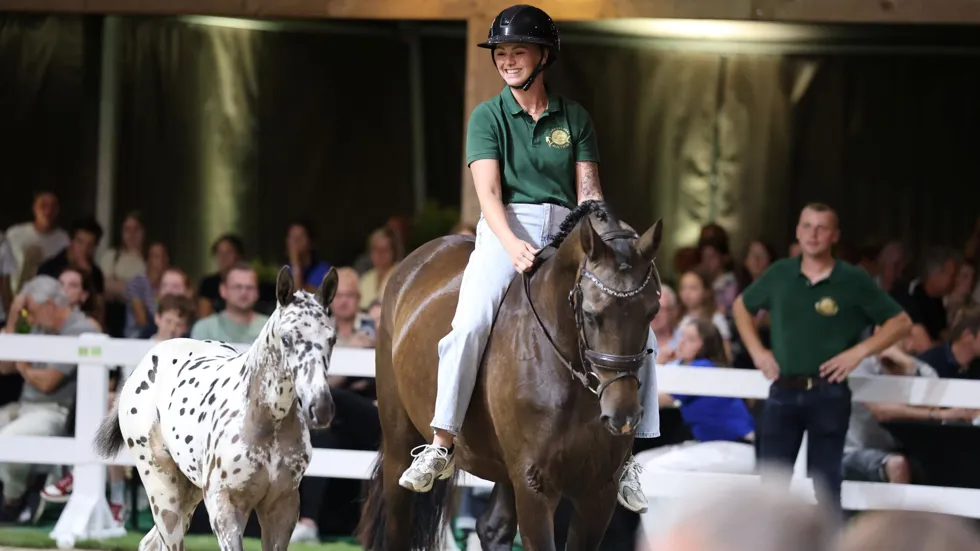 Flanders medewerkster Caitlin Teunissen met haar merrie en Jaxx CT Z (J-Nius V.V. Z), die 44.000 euro opbracht