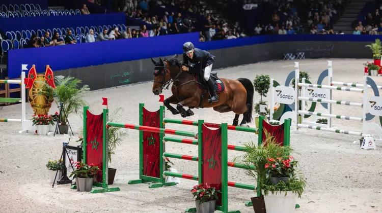 Tom Schewe et Lester ont triomphé ce soir dans l'épreuve à 1,50m d'El Jadida.