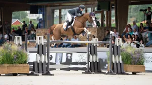 BWP-merrie Nasa de Toxandria schittert opnieuw op het hoogste niveau