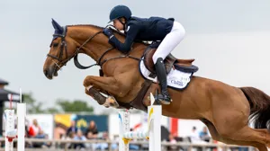 Putters en Pivoine de la Pomme Z snelsten in finale GP van Lier