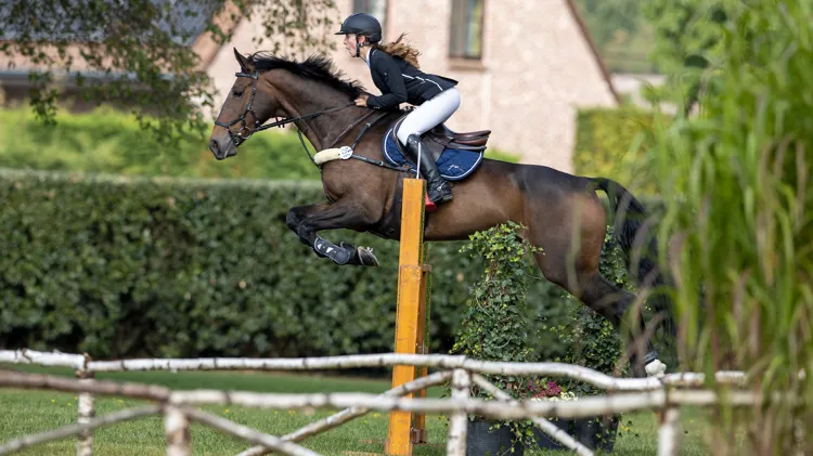  Michelle Malisart heerst in Turnhout & Baarle-Hertogh  