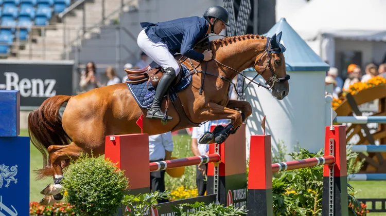 BWP'er Rebel van 't Zomerhof bezorgt Wathelet beste Belgische resultaat