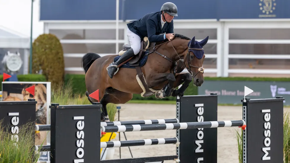 Van Olst schittert in Bonheiden met twee Comme il Faut-nakomelingen
