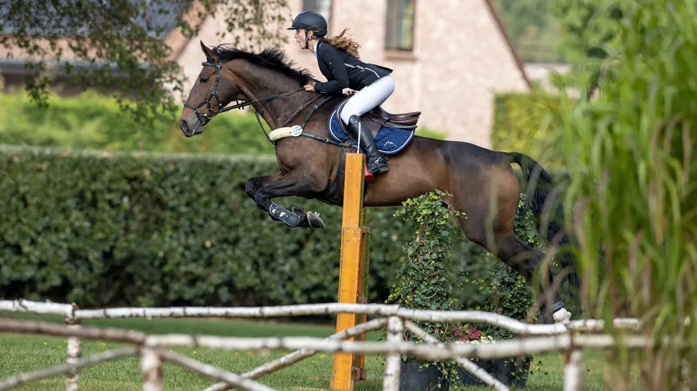  Michelle Malisart heerst in Turnhout & Baarle-Hertogh  