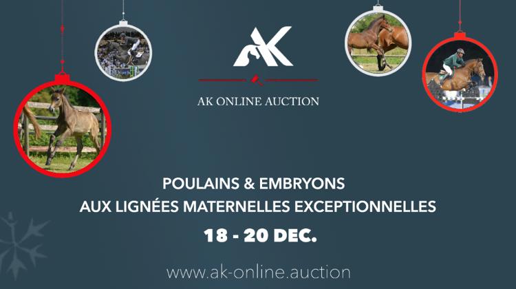 Une très belle sélection de poulains et embryons (Sancha Ls, Babylotte, etc.) pour la première édition des AK Online Auction