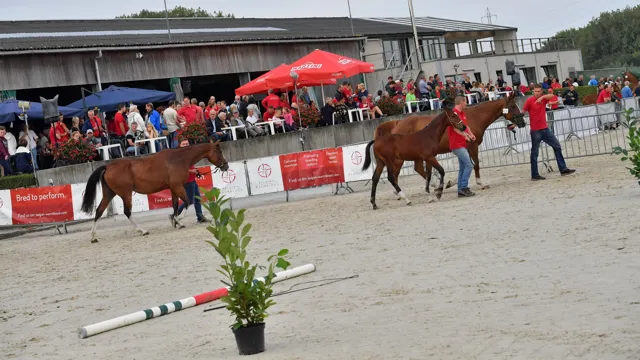 Aftellen naar het nationale kampioenschap