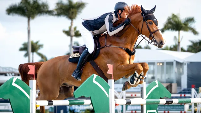 Nicola Philippaerts derde in 1m50 Wellington, Belgische fokproducten domineren