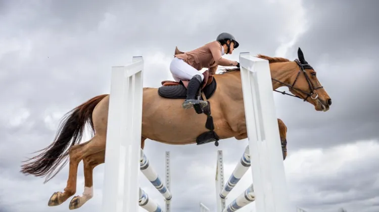 Choisir son pantalon de concours, c’est allier technicité, confort et performance : les essentiels pour ne rien laisser au hasard en piste.