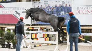 Bomaco Winter Jumping ontvangt opnieuw de National Free Jump Contest