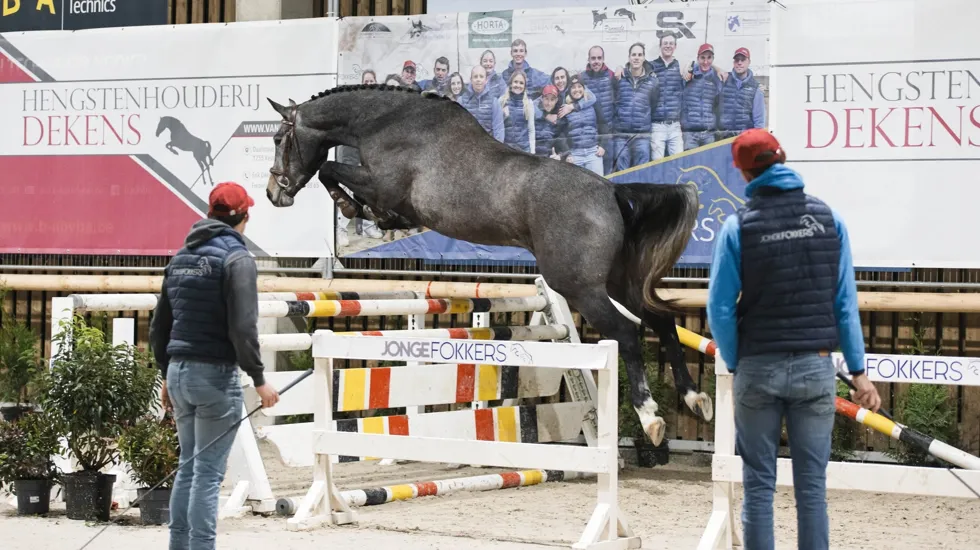 Bomaco Winter Jumping ontvangt opnieuw de National Free Jump Contest