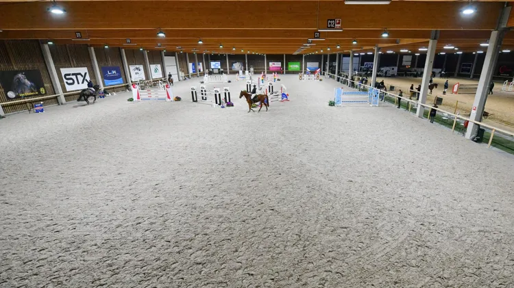 Aftellen naar een nieuwe manche van de hengstencompetitie