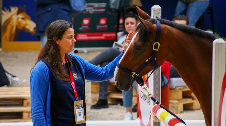 Normandy Horse Meet’Up : deux jours dédiés aux professionnels de la filière équine