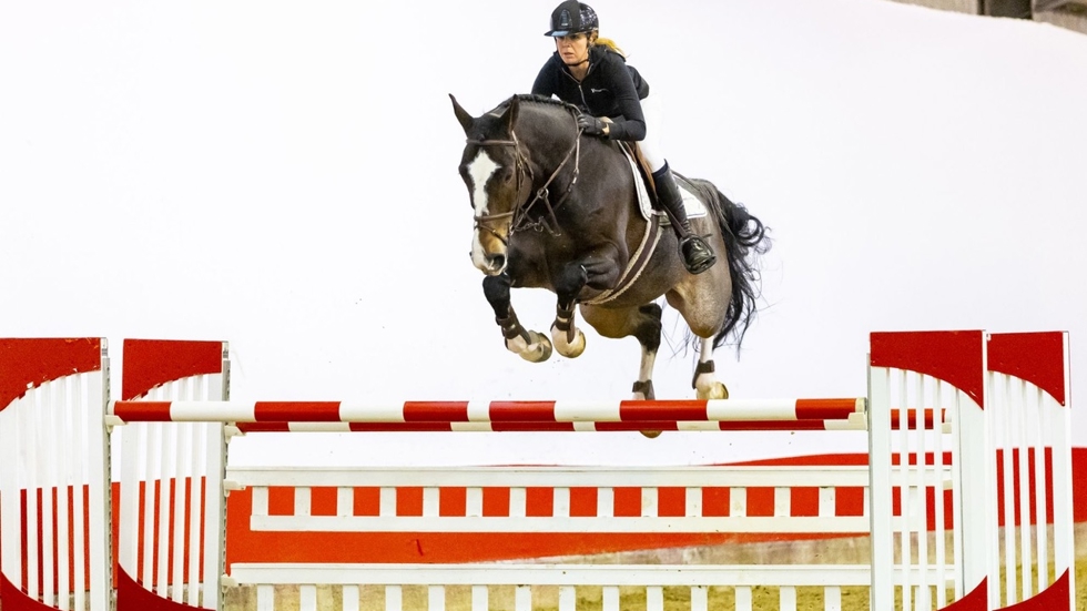 De hoogste verkoopprijs van de avond was voor de zevenjarige ruin Nandorado H&H