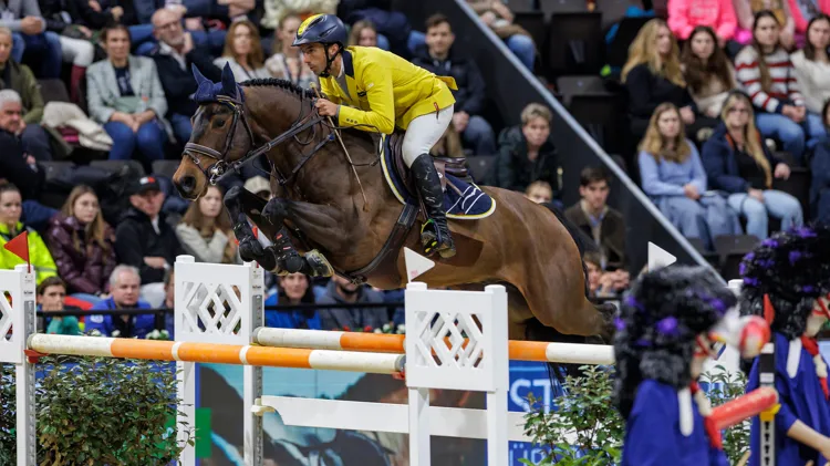 Hellix du Seigneur kennen we nog van onder het zadel van Yuri Mansur