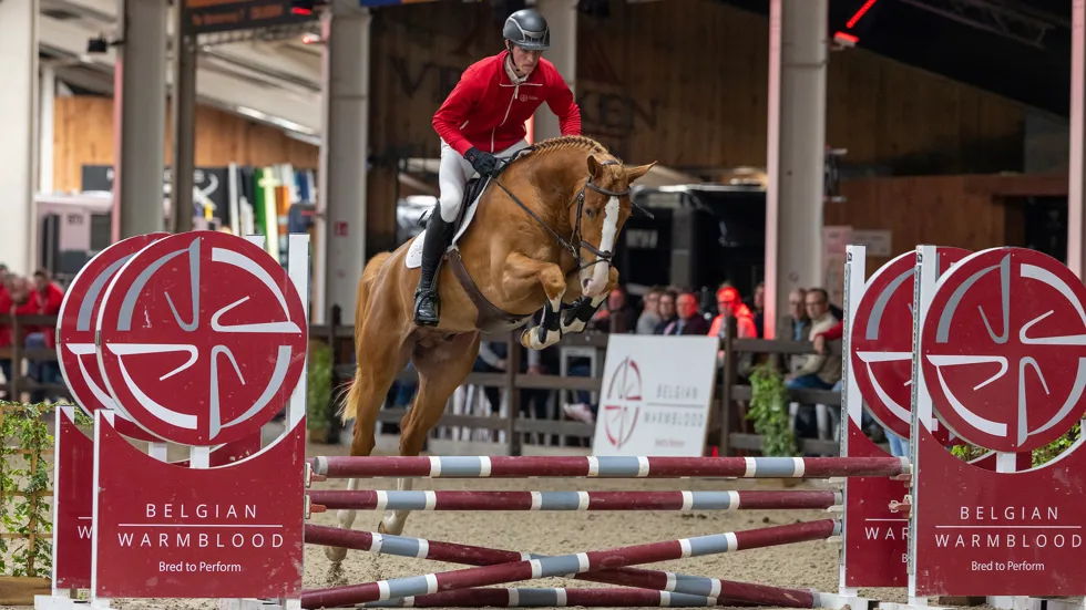 Attack T werd tijdens de tweede fase verkocht als veilingtopper