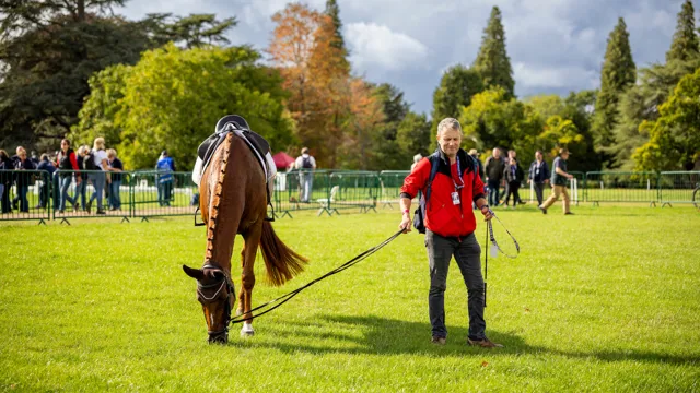Aftellen naar een nieuwe internationale week