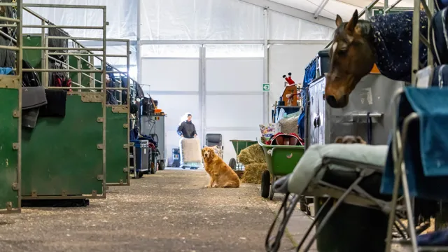Aftellen naar een nieuwe internationale week