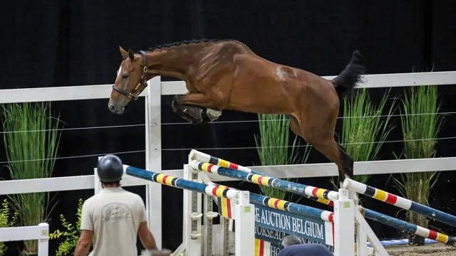 Cooney was de veilingtopper van de avond