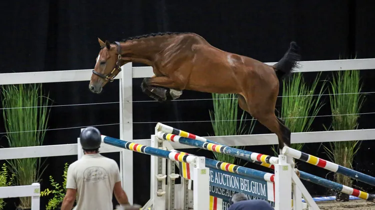 Cooney was de veilingtopper van de avond