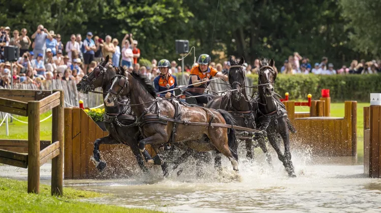 Bram Chardon vise les Championnats du monde FEI d'Aix-la-Chapelle 2026, temps fort de sa saison.