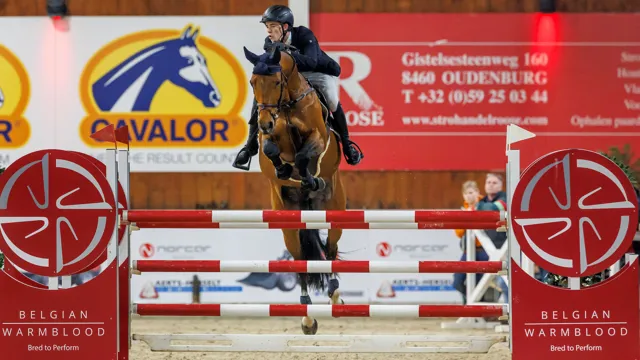 Thibeau Spits en Gin Flip de Muze Z