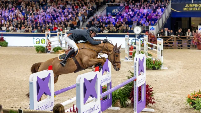 Smolders en Tiger eind vorig jaar tijdens de hengstenrubriek in Mechelen