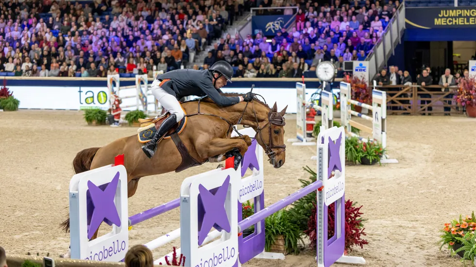 Smolders en Tiger eind vorig jaar tijdens de hengstenrubriek in Mechelen