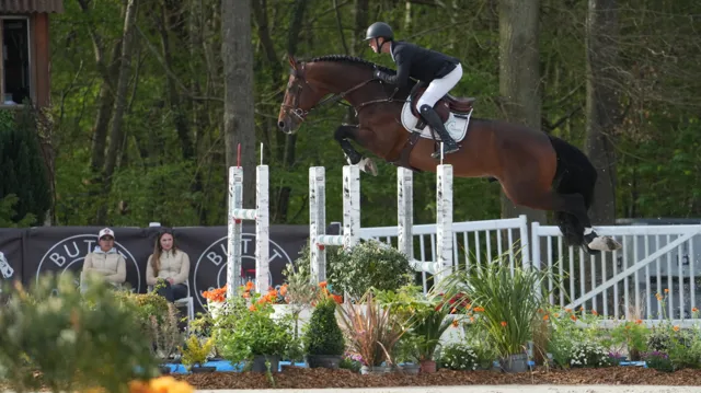 Winst voor Gilles Thomas en zijn BWP hengst
