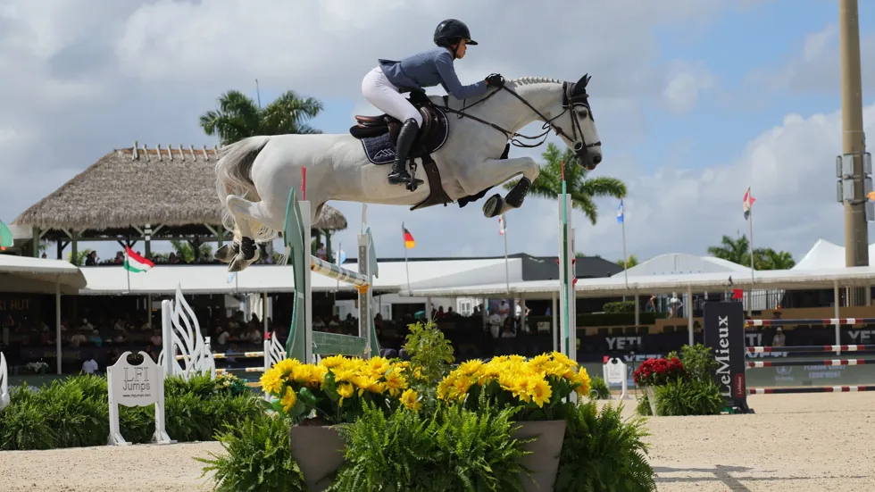 Cadans van de Ijzervallei Z blijft zijn indrukwekkende vorm etaleren in Wellington