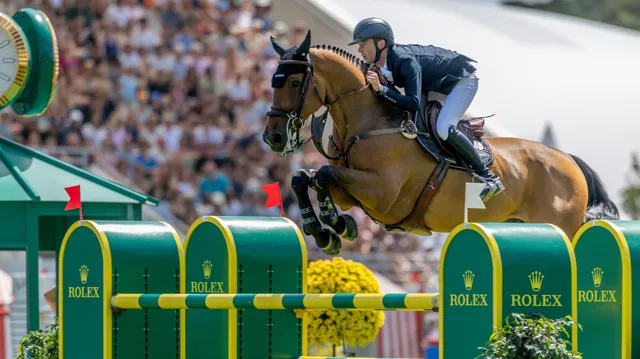 Qonquest de Rigo, voormalig toppaard van Bertram Allen, naar Géraldine Straumann