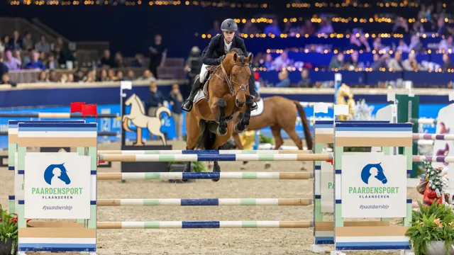 Voor het tweede jaar op rij winnen Gilles Thoms en Saladin S de hengstenreeksen op Jumping Mechelen