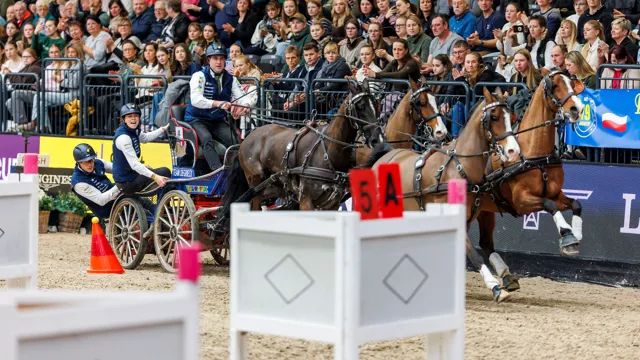 Dries Degrieck triomfeert in Bordeaux en wint FEI Driving World Cup Final