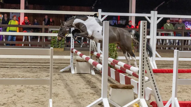 Epic V/H Rozendaelhof won de reeks kleine maat