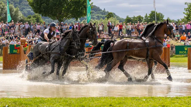 Winst voor Dries Degrieck