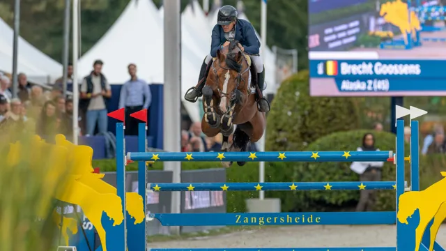 BWP Elite-hengst Alaska Z naar GP-winst onder Brecht Goossens