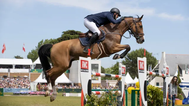 Ace of Hearts en Lotti Blue Z zorgen voor Belgisch podiumsucces