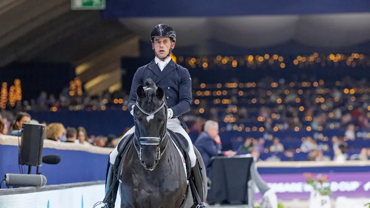 Verboomen zijn Zonik Plus krijgt deze week rust tijdens Jumping Mechelen 