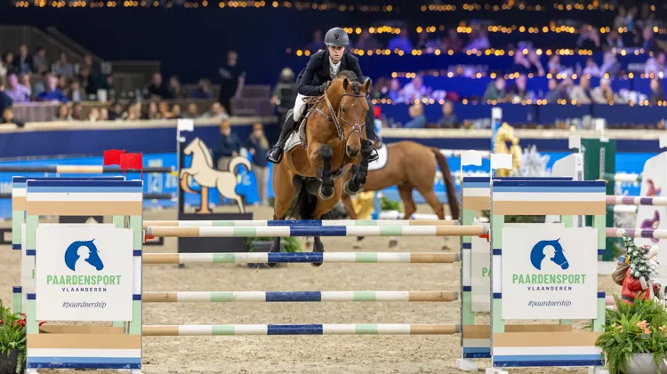 Voor het tweede jaar op rij winnen Gilles Thoms en Saladin S de hengstenreeksen op Jumping Mechelen