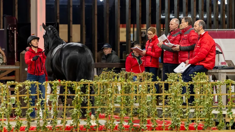 De eerste dag zit er reeds op