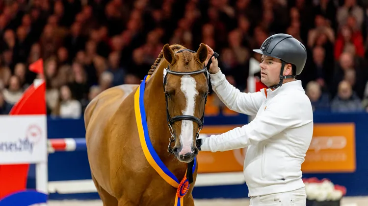 Crescendo van de Boxem Z