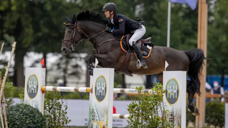 Vreys en Estrella van Plockroy Z domineren 1m45-proef