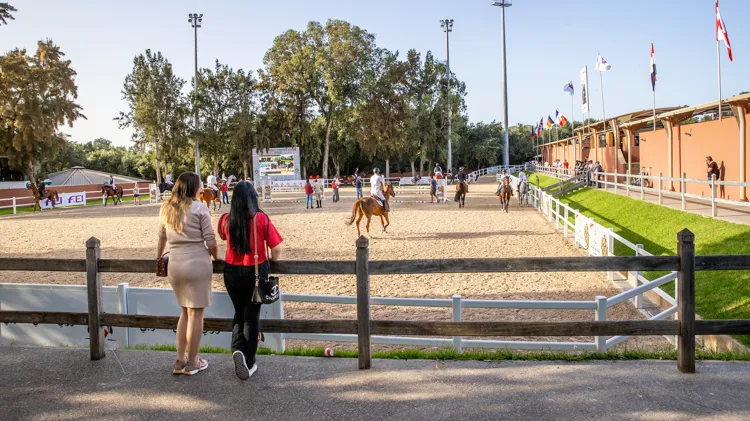 Om het onderzoek zo vlot mogelijk te laten verlopen, is aan betrokkenen en getuigen gevraagd om zich voorlopig niet publiekelijk uit te spreken.