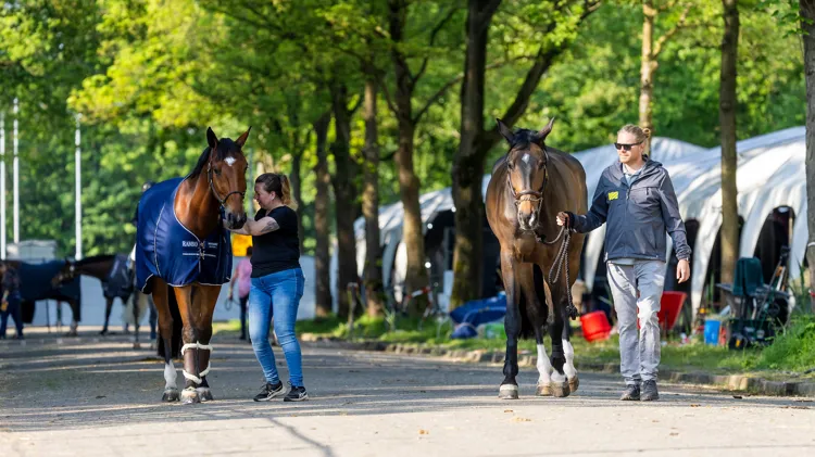 Aftellen naar een nieuwe internationale week