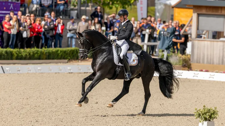 Individuele winst voor Verboomen en Zonik Plus