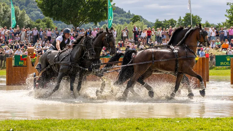 Zilver en brons voor Dries Degrieck
