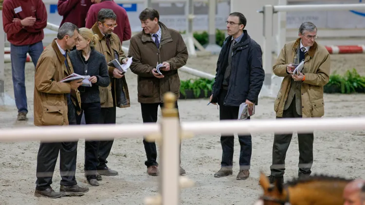 Jan, derde van rechts, was o.a. jurylid bij BWP - foto van tijdens de BWP hengstenkeuring in 2009