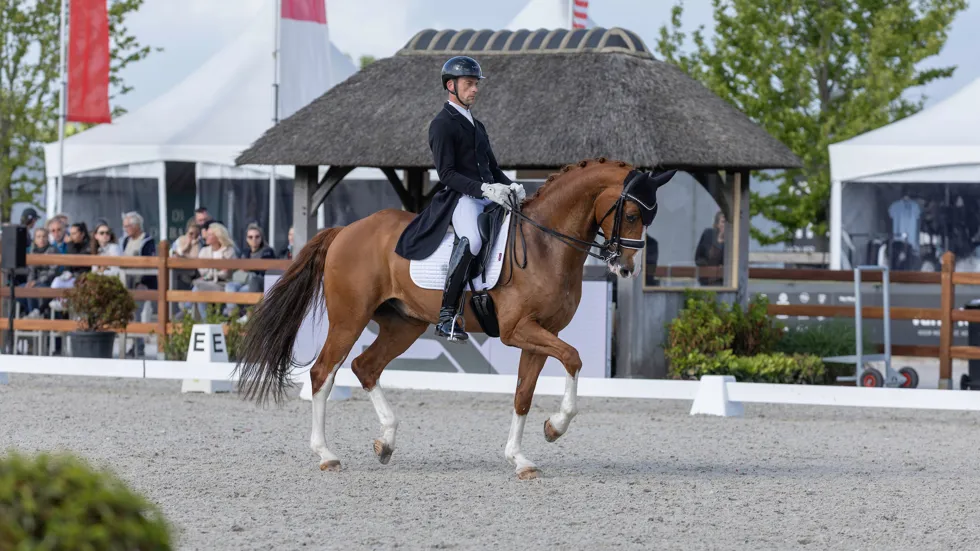 Justin Verboomen en Djembe de Hus